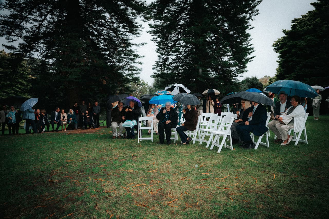 Guests seated under umbrellas in the rows of white chairs, the tall pines around the clearing