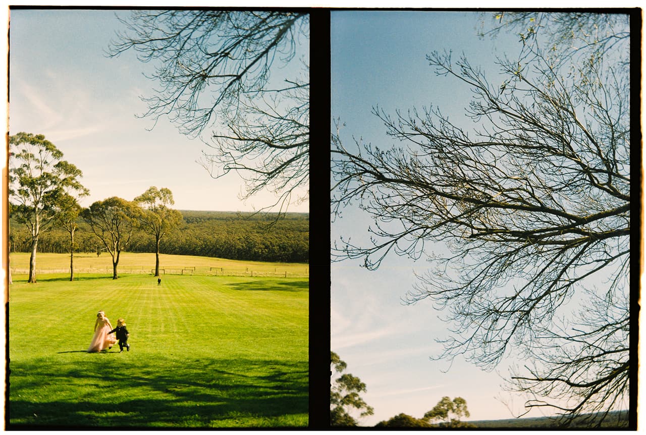 Two half frames side by side: the wide lawn running out to the tree line and the valley, and bare branches against the sky, on 35mm film