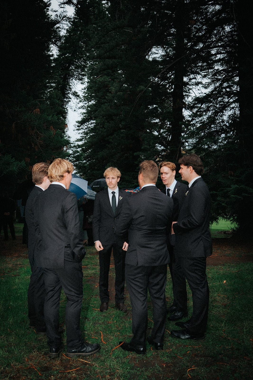 Groomsmen in black suits talking under the pines before the ceremony