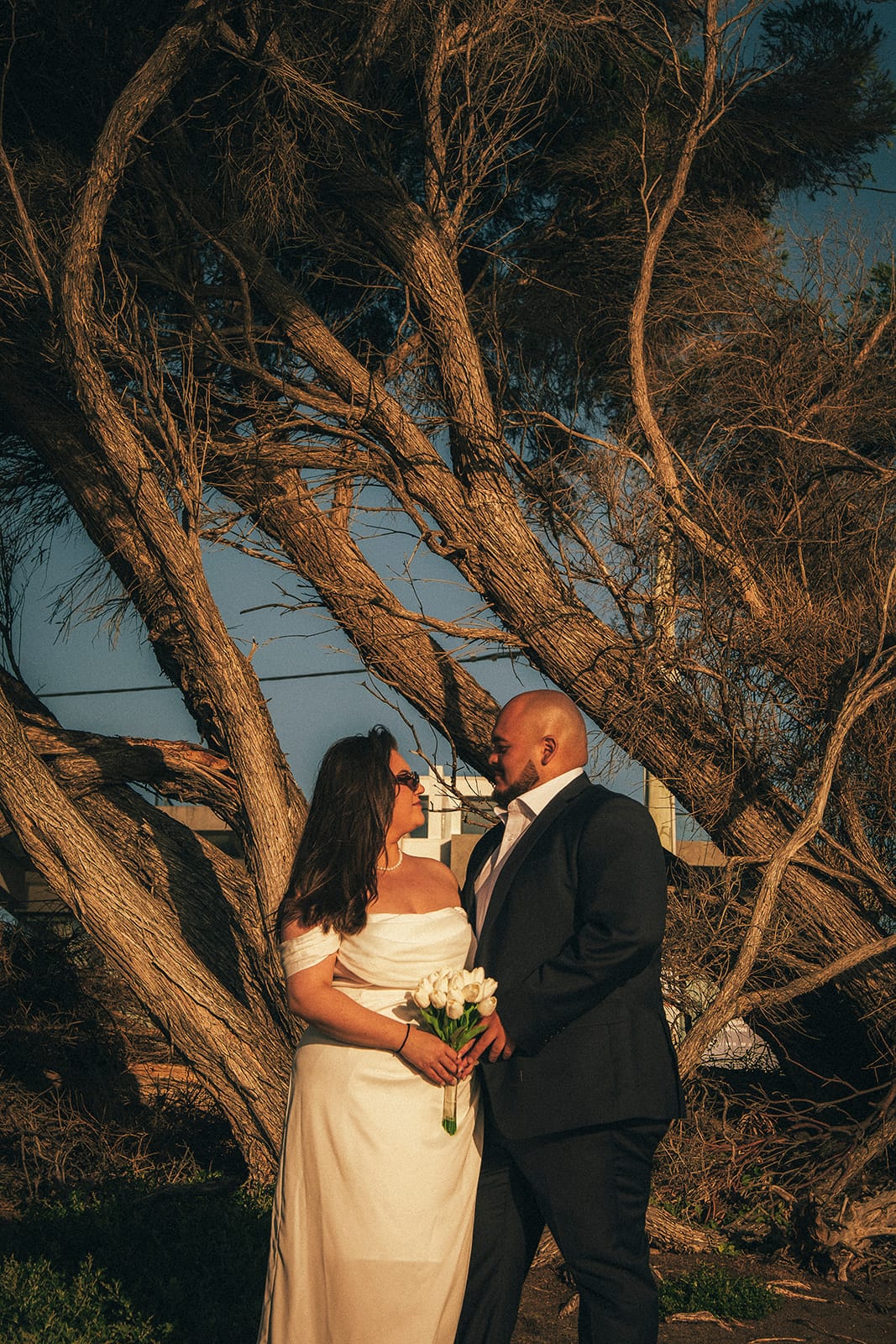 Martina and Diego under a twisted coastal tree above the beach